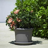 thumbnail of Pflanzkübel GEO 40 cm taupe rund Taupe 40