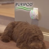 thumbnail of Best Direct PURIPOD - leiser Ionen Luftreiniger, für 10m² Räume, keine Instandhaltung, hilft gegen Haustiergeruch und Zigarettengeruch, 4,5 Watt, weiß