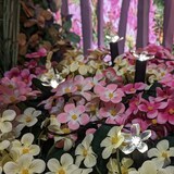 thumbnail of LED Solar Lichterkette Blumen Beetstecker Blumentopfdeko Garten Lichtsensor