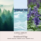 thumbnail of Laura Ashley Duftöl Geschenkset, Lotus & Orchid, Sandalwood & Sage, Ylang Ylang & Musk, 3 x 10ml, Glas, Raumduft