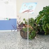 thumbnail of Danieli Store | Expositor publicitario de pie con atril apoyalibros tamaño A3 horizontal | Soporte de acrilico transparente para Libros y Menú