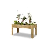 thumbnail of HORTALIA Mesa de cultivo Gardenbrico XL80 em madeira tratada para exterior - 160x80x80 cm