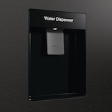 thumbnail of Gorenje NRR9185EABXLWD Side by Side - H 178,6 cm, E, B 91 cm, NoFrost, Wasserbereiter, DarkInox look, Inverterkompressor, TwistIce 742346