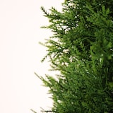thumbnail of Planta artificial Cipres 125cm | Naturing Monde - Interior e Exterior