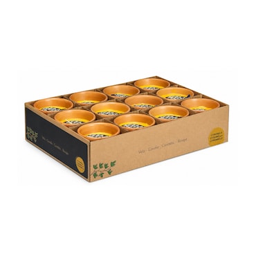 Velas de Citronela Anti-Mosquitos em Vaso Pequeno de Barro