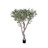 thumbnail of VERT ESPACE olivier geant 185 cm