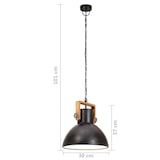 thumbnail of vidaXL Hängelampe Industriestil 25 W Schwarz Rund 30 cm E27