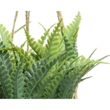 thumbnail of Planta Artificial Colgada Modelos Varios Ø8X12Cm