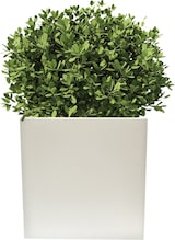 thumbnail of WellHome - Pflanztopf 50x50 cm Top Garden DANI in Weiß