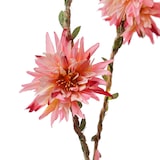 thumbnail of LED Lichterkette  Dahlien Blüten Blumengirlande Timer L: 2,9m pink