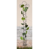 thumbnail of Rankhilfe Classic Rankgitter aus Metall 135 cm Kletterhilfe Bodenstecker Stecker