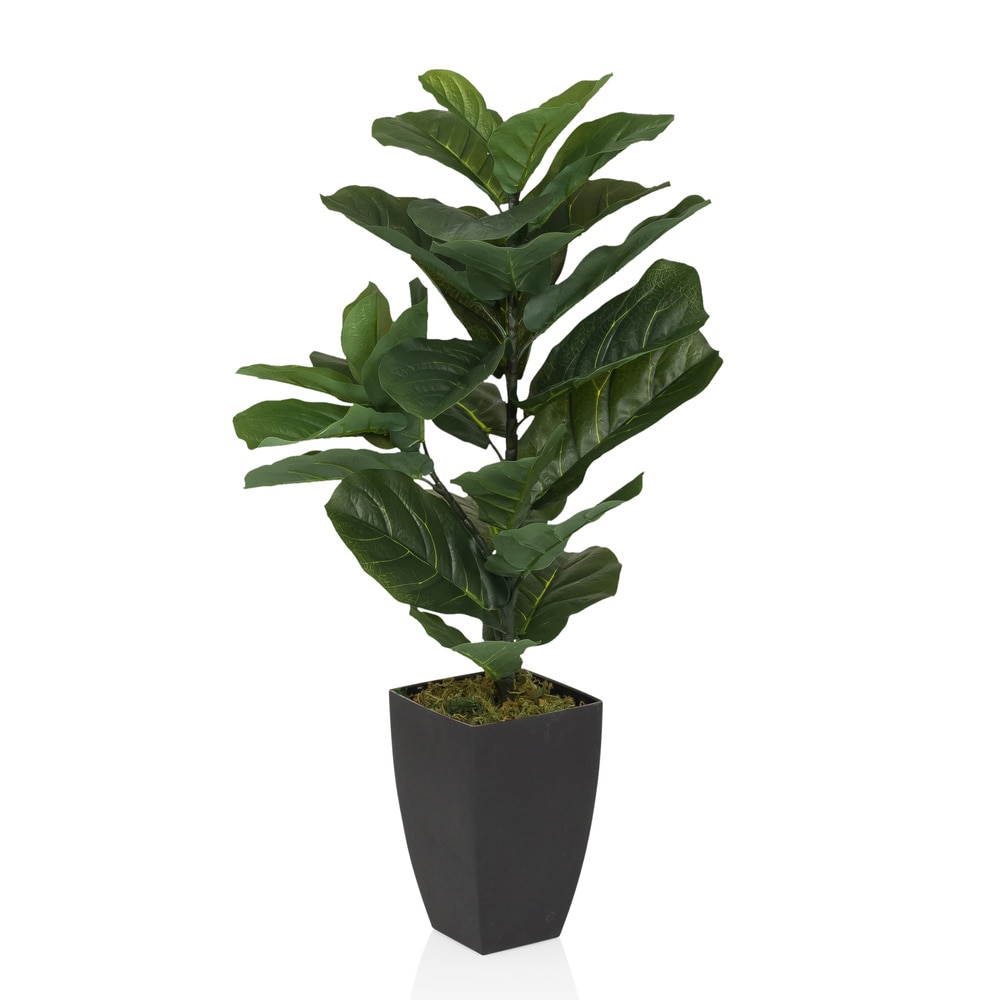 Kunstpflanze / Kunstbaum LYRATA Geigenfeige 80 cm Kunststoff grün hjh OFFICE