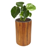 thumbnail of Pflanzkasten HWC-L24, Pflanzkübel Blumentopf Blumenkasten, rund 50x34cm Outdoor Akazie Holz MVG-zertifiziert, braun