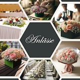 thumbnail of Nass Steckschaum Rund 8x5cm Frischblumen Schnittblumen Blumen Steckmasse Steckschwamm Blumensteckschaum Floristik Zubehör Floristikbedarf Uni Grün