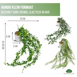 thumbnail of GreenDream® 3 Verschillende Hangplanten Kunstplanten in Pot - decoratief - Cadeautip - Groen