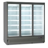 thumbnail of Armadio frigo murale 3 porte ventilato. Motoventola assiale. Temperatura positiva 0°C/+10°C. Regolatore di temperatura elettronico. MR188TN3GRY