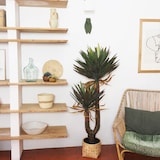 thumbnail of LIGNE DÉCO Yucca artificiel 2 troncs 150cm