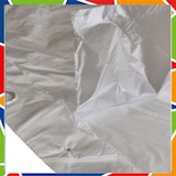 thumbnail of DayBays 1000 Stk. Abreissbeutel  25x35 cm LDPE Transparent geblockt