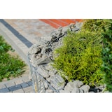 thumbnail of Wilk Gabionen-Beetabgrenzung Bogen, 75 x 20 x 11 cm, feuerverzinkt