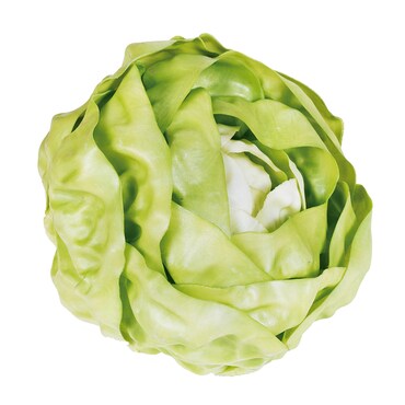 Verduras artificiales decorativas LECHUGA ICEBERG NORTENE