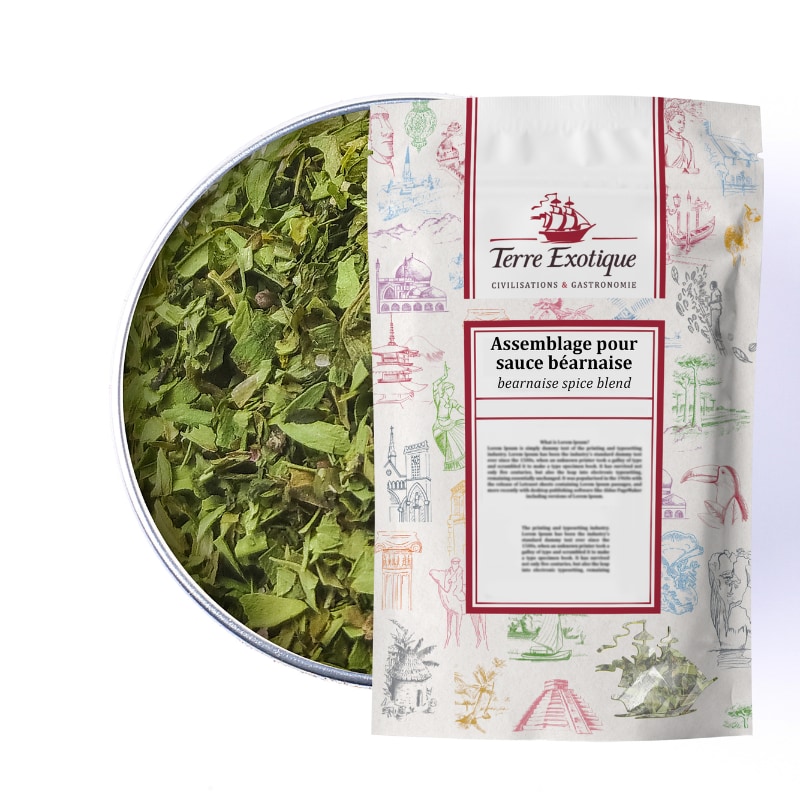 TERRE EXOTIQUE Mélange sauce Béarnaise, 250 g