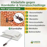 thumbnail of Kornkäfer Falle mit Spezial-Lockstoff: 15