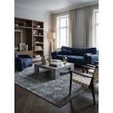 thumbnail of Teppich Waschbar Orient-Design Modern Strapazierfähig Esszimmer Flur Grau 300x400 cm OEKO-TEX Schadstoffgeprüft – ALETSCH von Kadima Design