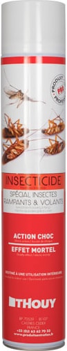 Insecticide aérosol insectes rampants et volants 750 mL | METRO