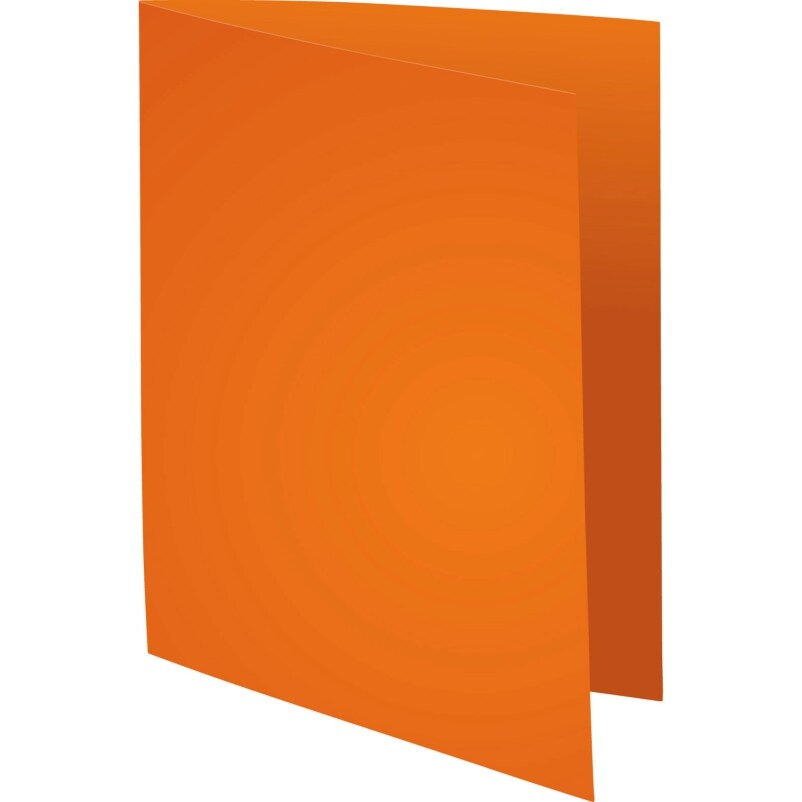 Exacompta 100er Packung Aktendeckeln aus Recycling Karton 220g Forever, 24x32cm