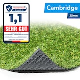 thumbnail of Kunstrasen Cambridge - Rasenteppich für Balkon, Terrasse & Garten - Höhe 25 mm, Gewicht 1500 g/m² / 100 x 500 cm