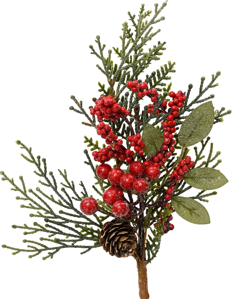 mobile_image