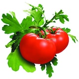 thumbnail of LACOR epluche Légumes À Dents
