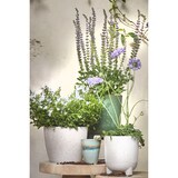 thumbnail of Copa Topf rund off white - h30,5xd30cm