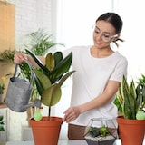 thumbnail of Relaxdays Tonkegel Bewässerung, 4er Set, je 100 ml Volumen, Gießkugel für Zimmerpflanzen & Balkonkästen, grün/terrakotta