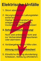 thumbnail of Schild Elektrische Unfälle, Kunststoff, 200x300 mm
