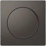 thumbnail of Merten Zentralplatte anth MEG5250-6034