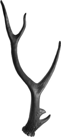 mobile_image