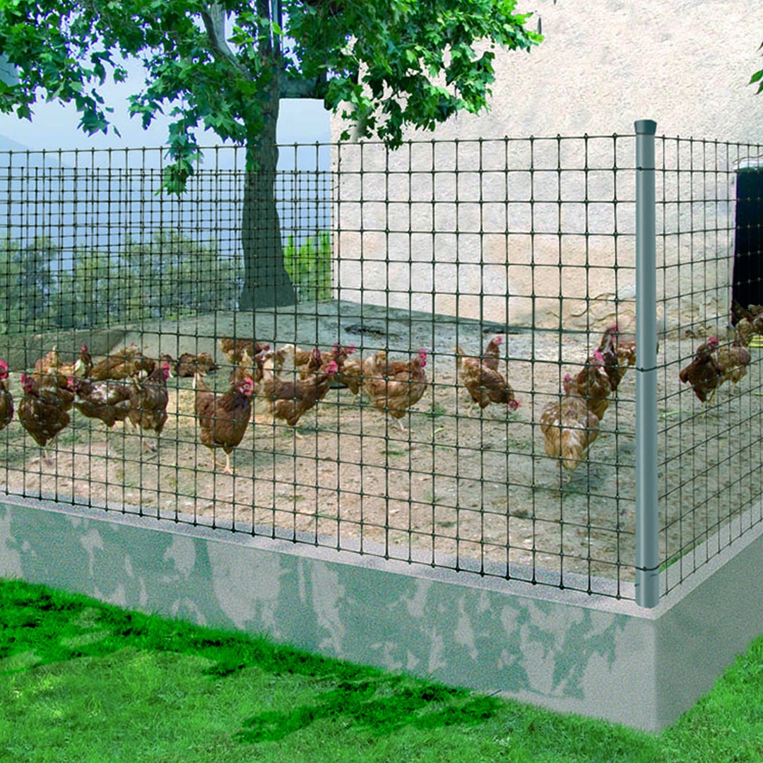 Malha de aves Avinet 90 1x200m Black