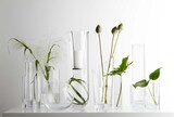 thumbnail of Leonardo BOCCIA Kugelvase ø 20 cm