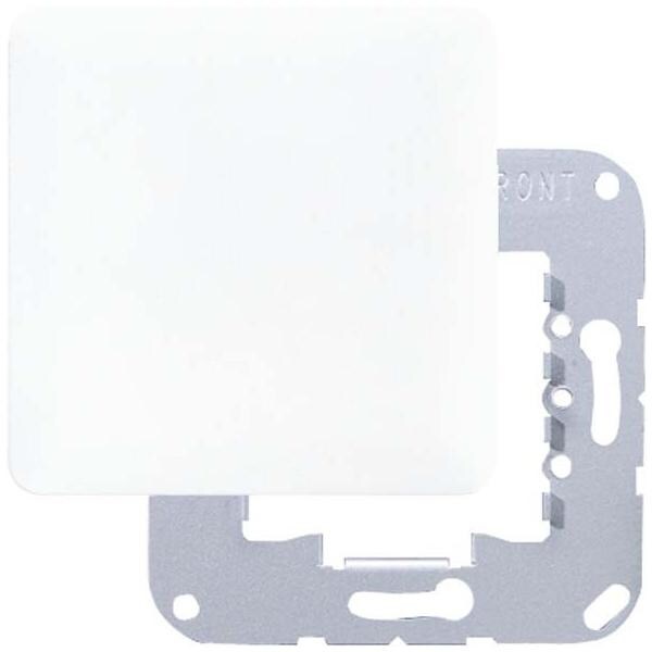 Jung Blind-Abdeckung pla CD 594-0 PT CD594-0PT