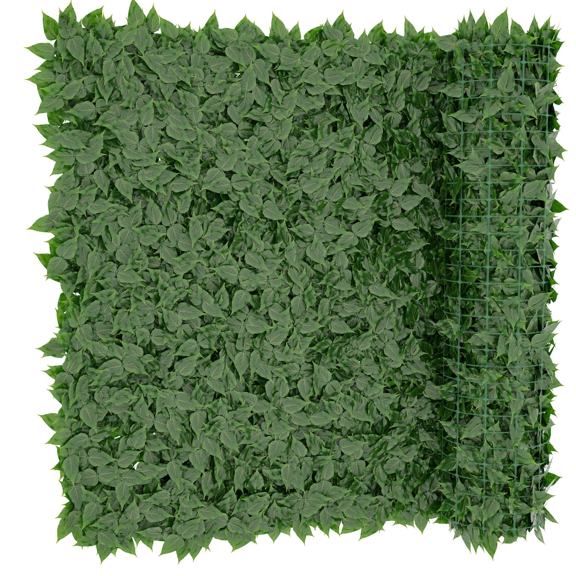 Siepe Finta Artificiale Ultra Coprente Anticaduta Rotolo Rete Frangivista Frangivento Ornamentale Foglia Edera Sintetica Per Ringhiera 2x12 mt
