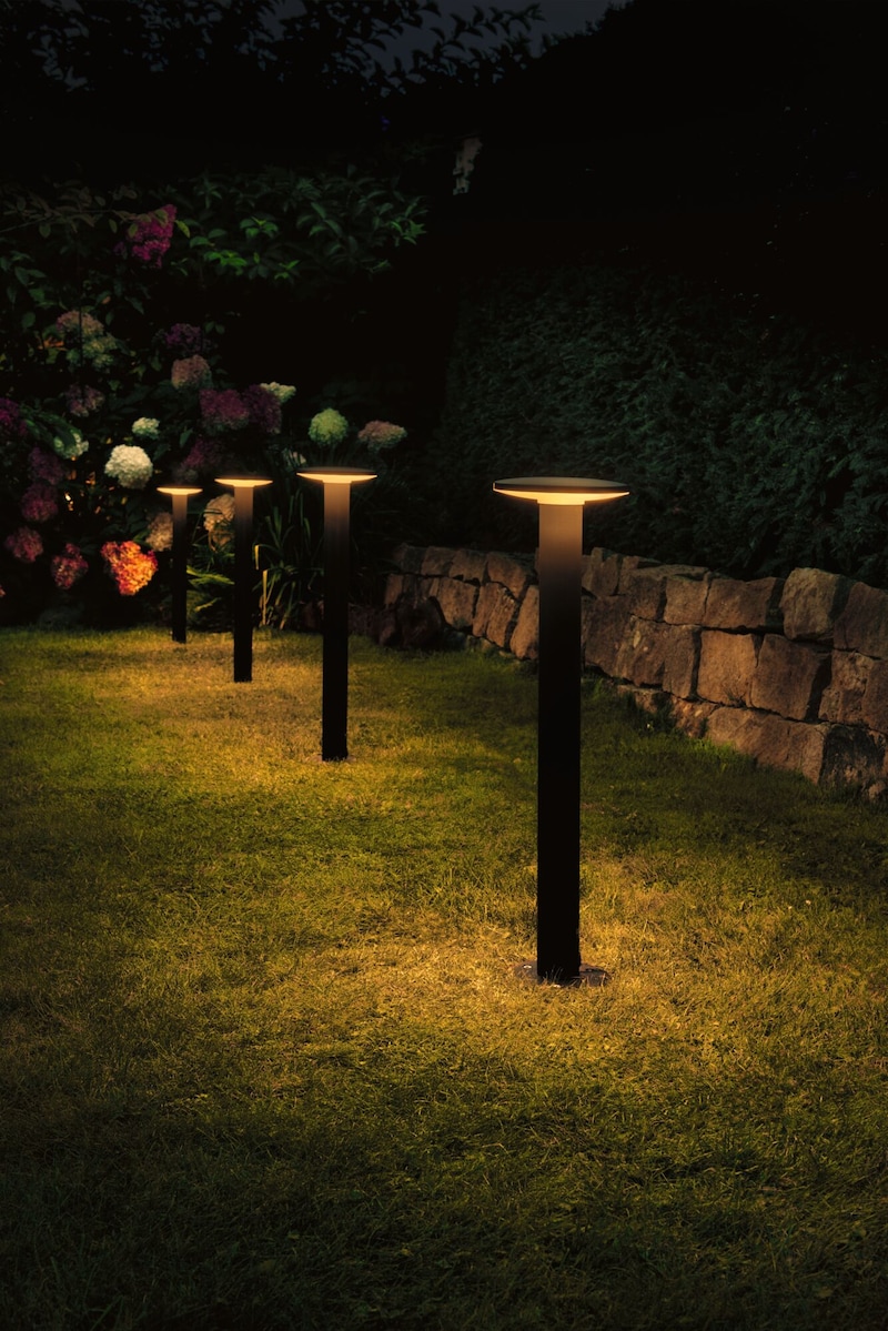 Des lampadaires de jardin éclairent un sentier gazonné.