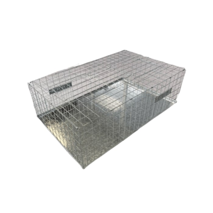 Remi Hogar Trampa Plegable Para Palomas | Lámina reflectante para atraer aves | 7,78 KG y 62 x 98 x 31 cm | Alambre con superficie galvanizada