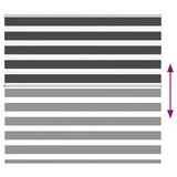 thumbnail of vidaXL Doppelrollo Schwarz 165x150 cm Stoffbreite 160,9 cm Polyester