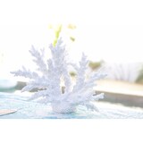 thumbnail of Corail blanc décoratif 34x13x27cm