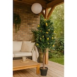 thumbnail of NATURN LIVING Kunststof Citroenboom - ø 16 x 125 cm - Citrus Limon - Kunstboom - Onderhoudsvrije Boom - Nepplant - Geel