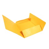 thumbnail of Exacompta 17106H 25x Elastomap Maxi Capacity met kleppen in glanskarton 425g/m2, 24x32cm voor formaat DIN A4, geel