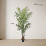 thumbnail of Bonerva | Palmera Deco 180 cm Altura | Planta artificial para decorar interiores: hogares, negocios y hoteles | Sin mantenimiento