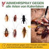 thumbnail of Kakerlaken / Schaben-Abwehrspray Power-Konzentrat: 500ml