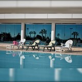 thumbnail of SHAF Tumbona Caimán Wengué con Cojín